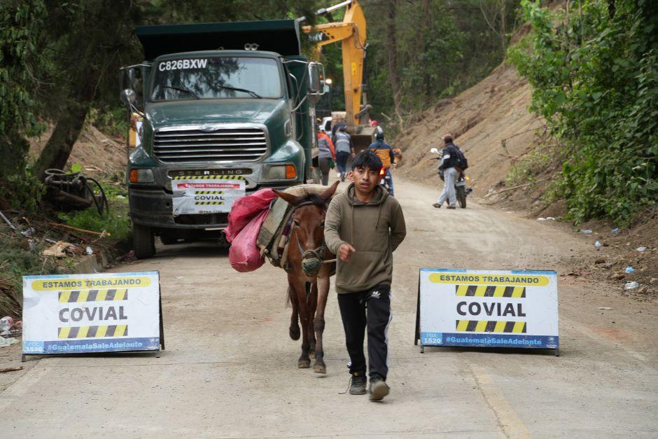 Daniel brinda servicio de carga con apoyo de una mula. (Foto: Wilder López/Soy502)