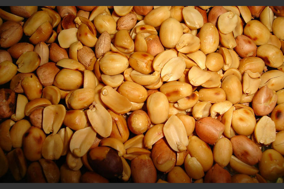 El tour de la manía busca dar a conocer a turistas sobre este grano que se prepara en diversos platillos y postres. (Foto: MAGA)
