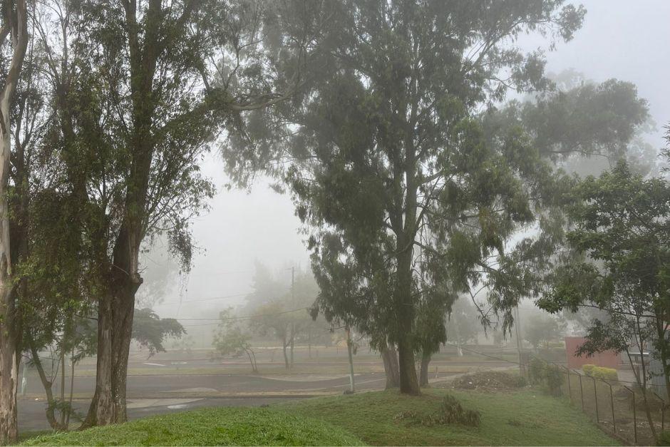 El viento, habitualmente del norte, podría girar hacia el sur en la ciudad capital conforme avance el día, según el Insivumeh. (Foto: Fredy Hernández/Soy502)
