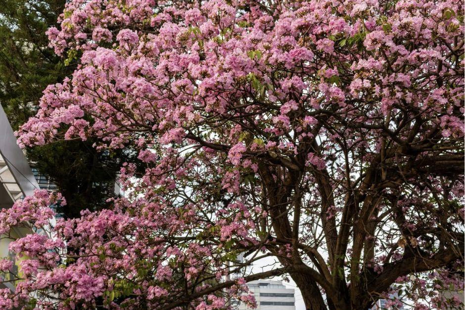 El proyecto se dio por un convenio entre la Agencia Española de Cooperación Internacional y la Empresa Municipal de Agua (Empagua). (Foto: archivo/Soy502)