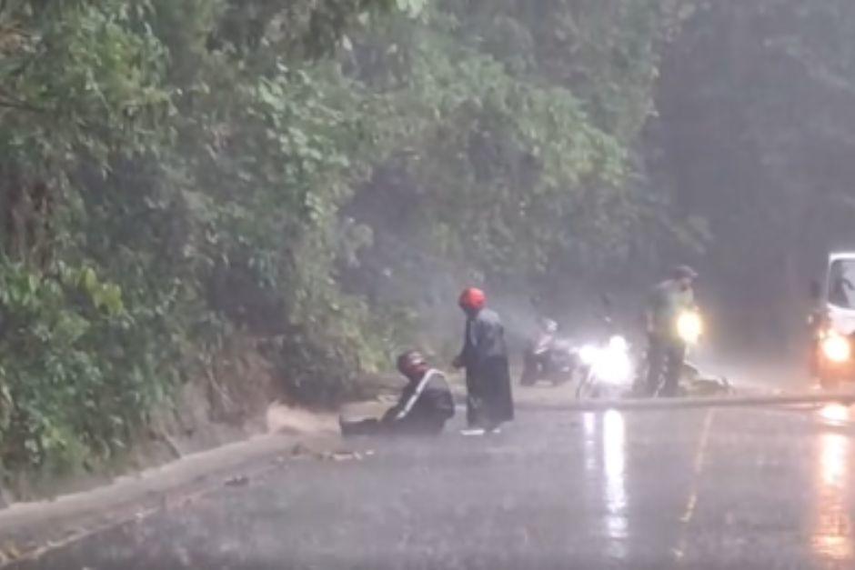 El árbol cayó sobre un motorista que justo pasaba en la carretera en el momento del incidente. (Foto: captura de video de redes sociales)