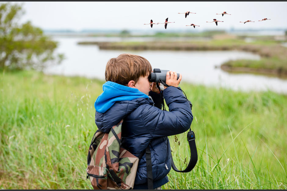 La apertura de este espacio busca la conservación del bosque, la protección de las aves, e impulsar la educación ambiental.&nbsp;(Foto ilustrativa: Shutterstock)