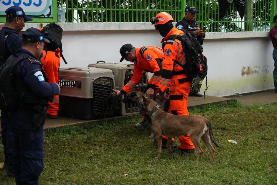 Se presume que podría haber un soterrado en lugar del desastre. (Foto: Wilder López/Soy502)