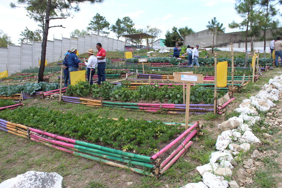 Los maestros deben ser capacitados para luego replicar los conocimientos en sus aulas.&nbsp;(Foto: Erick Colop/Colaborador)