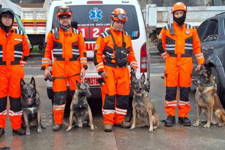 Cuatro binomios de caninos colaboran en la búsqueda de hombre soterrado. (Foto: Bomberos Voluntarios)