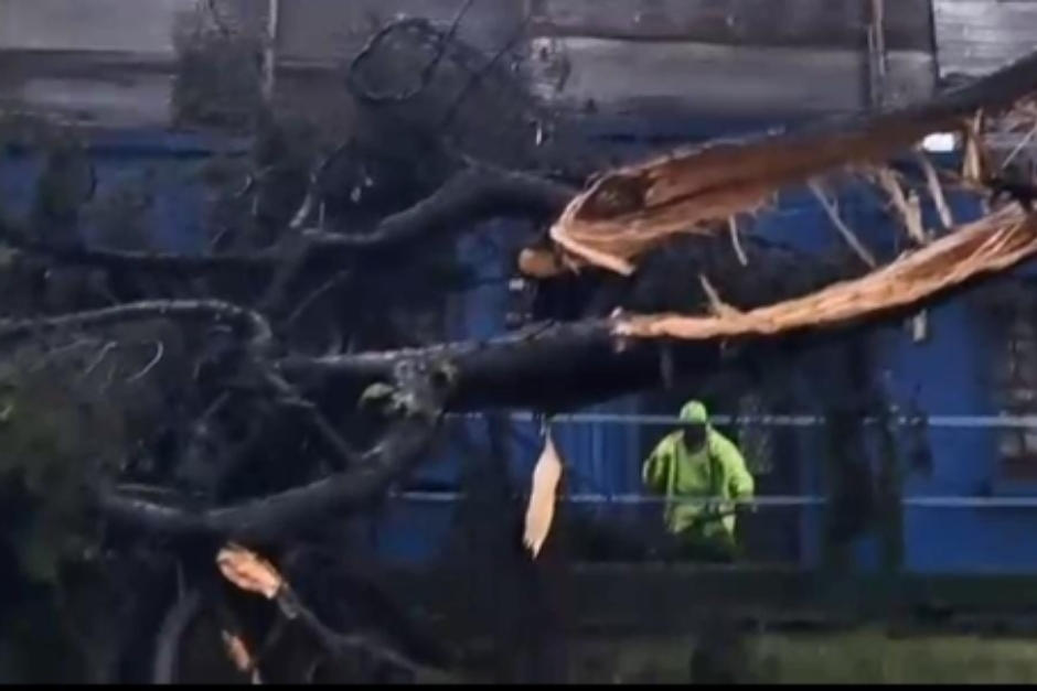 Personal del programa&nbsp;Limpia y Verde&nbsp;trabaja para habilitar el tramo que conduce&nbsp;hacia el Obelisco. (Foto: PMT)