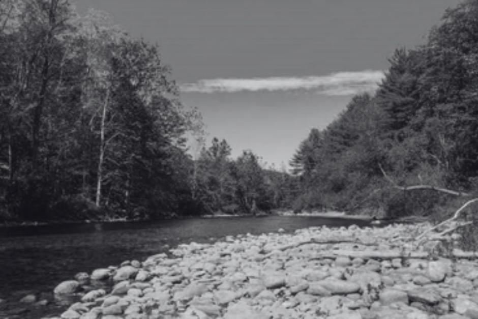 El cuerpo de Esaú fue hallado con múltiples impactos por arma de fuego.&nbsp;(Foto ilustrativa: istock)