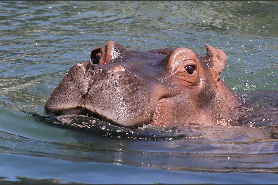 Tres personas sobrevivieron, pero 11 están desaparecidas. (Foto: Pexels)