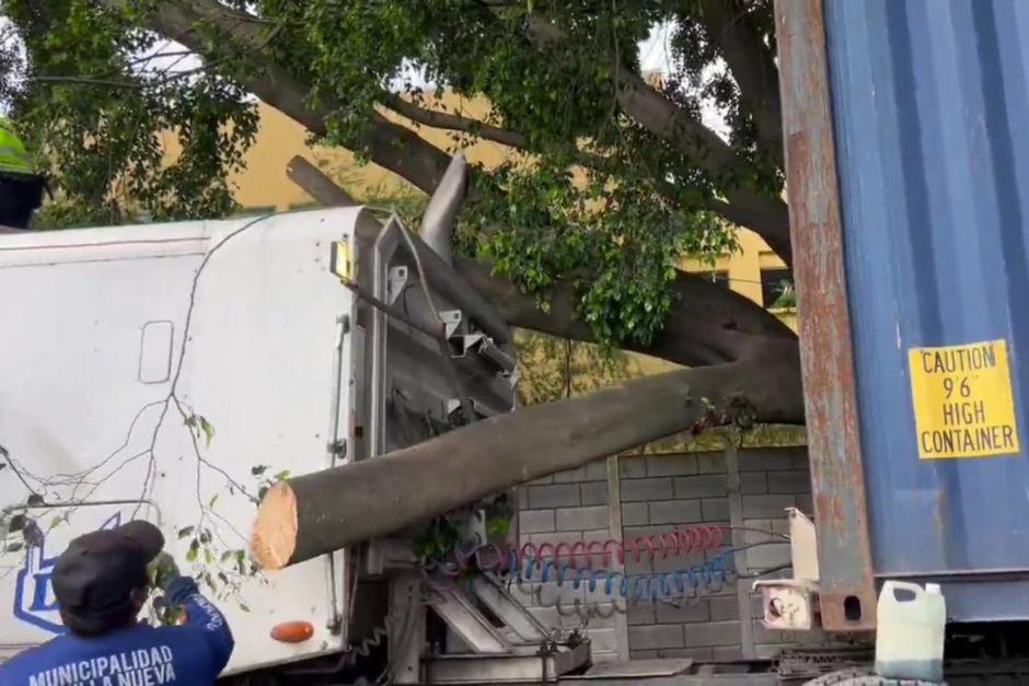 Un tráiler provocó la caída de un árbol en Villa Nueva, obstaculizando el paso vehicular. (Foto: captura de video de PMT Villa Nueva)