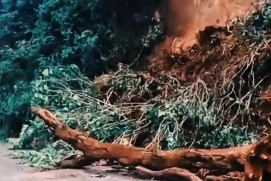 Autoridades de tránsito reportan varios incidentes viales la mañana de este martes. (Imagen: captura de pantalla)