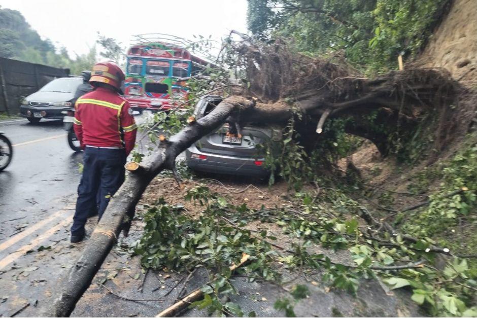 Un árbol cayó sobre un vehículo que se transitaba en la ruta hacia Boca del Monte. (Foto: Bomberos Municipales)
