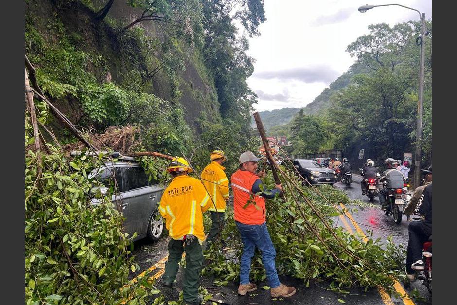 La unidad BRIF/GUA de la Conred apoyó para retirar el árbol que cayó encima de un vehículo.&nbsp;(Foto: Edwards Morales/Colaborador)