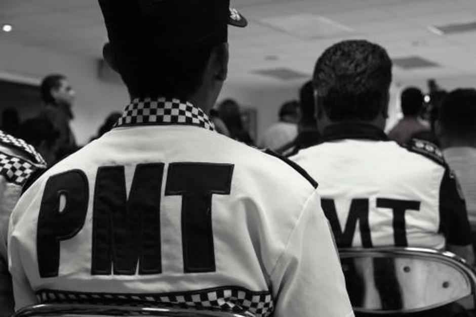 El cerdo se atravesó de forma inesperada. (Foto: archivo/Soy502)