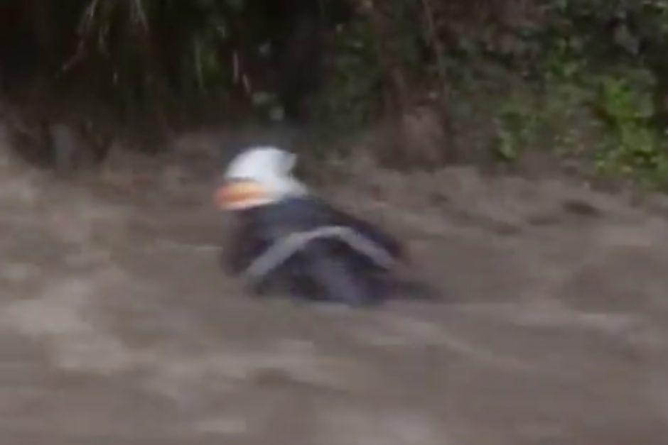 El conductor fue arrastrado junto a su vehículo de dos ruedas. (Foto: captura de video)