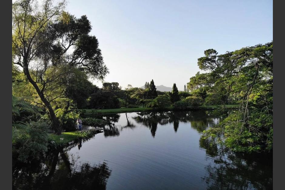 Sus cuerpos de agua cristalina dejan impresionados a los visitantes. (Foto: Finca El Zapote)