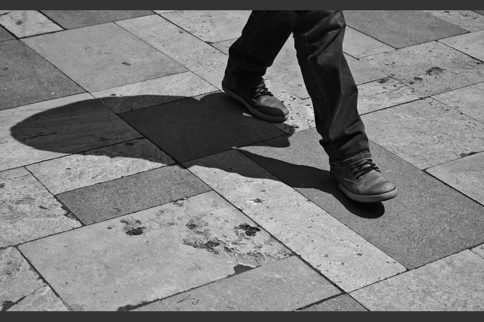 El gato qued&oacute; abandonado en un callej&oacute;n. (Foto: Shutterstock)