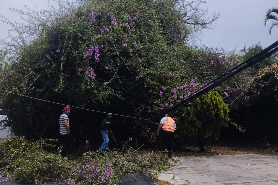 &nbsp;Tendido el&eacute;ctrico y telef&oacute;nico se ve afectado.&nbsp;(Foto: EMETRA)