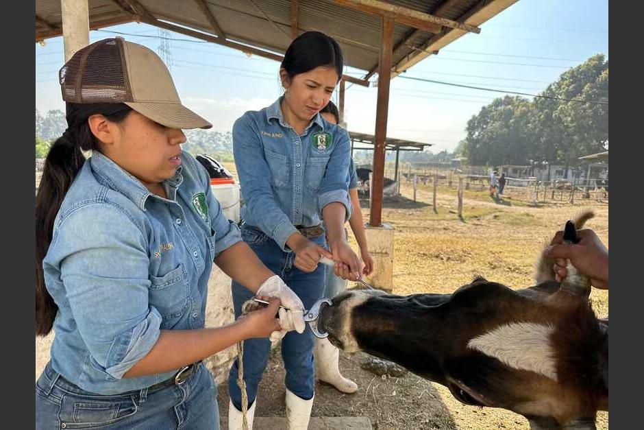 ENCA impulsa formaci&oacute;n de futuros profesionales agr&iacute;colas. (Foto: MAGA)