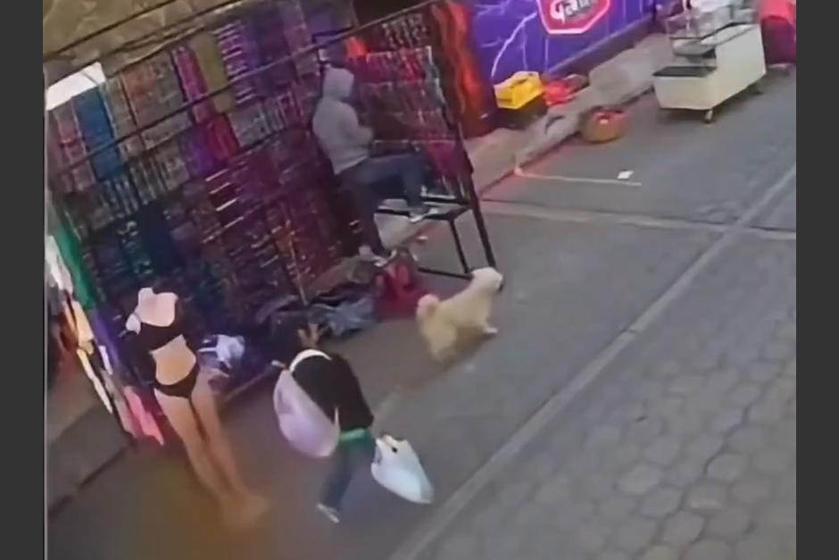 El perrito fue agredido por un comerciante en la v&iacute;a p&uacute;blica. (Foto: Captura de video)