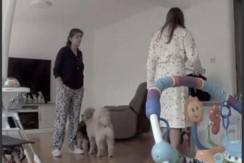 La suegra de la v&iacute;ctima habr&iacute;a planeado el crimen. (Foto: captura de video=