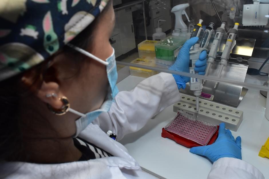 Cient&iacute;ficos del Inacif analizan muestras biol&oacute;gicas en laboratorio como parte de los estudios que respaldan investigaciones judiciales. (Foto: Estuardo Paredes/Nuestro Diario)