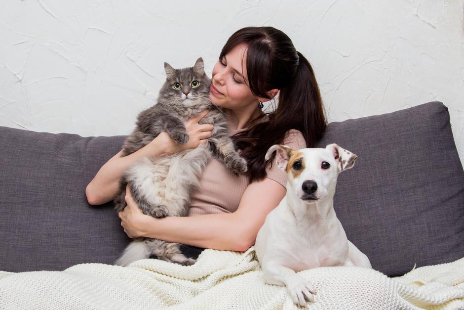 Las mascotas tambi&eacute;n envejecen, debes estar preparado para atender lo que necesita en esa etapa.&nbsp;(Foto: Shutterstock)