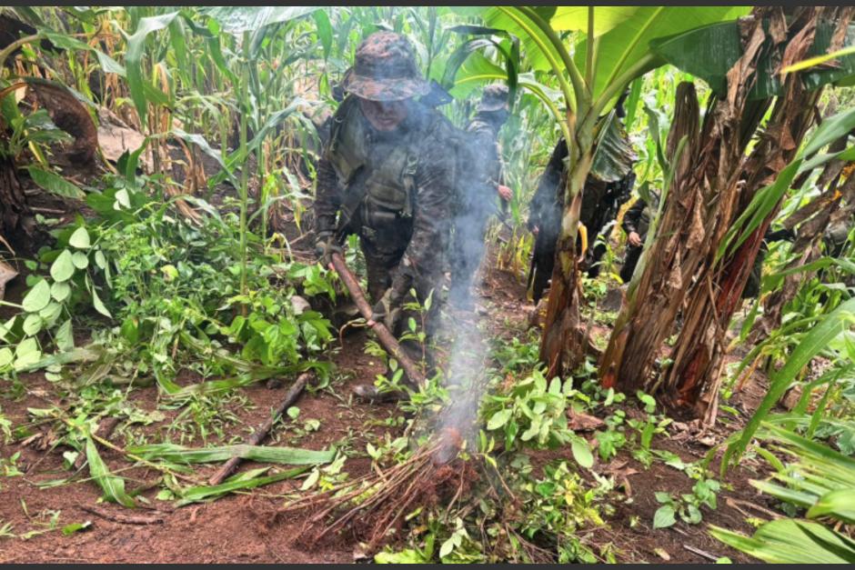 Estas acciones buscan combatir el narcotr&aacute;fico en el pa&iacute;s. (Foto: PNC)