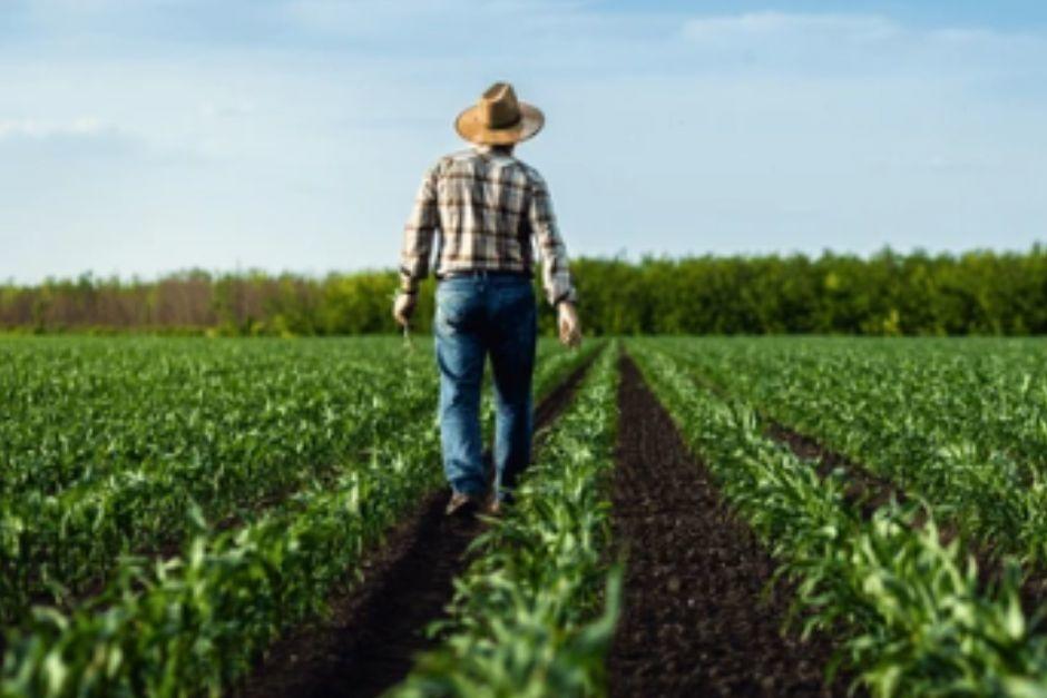 La C&aacute;mara de Agro reacciona tras la captura del presidente de Venezuela, Nicol&aacute;s Maduro. (Foto: Shutterstuck)