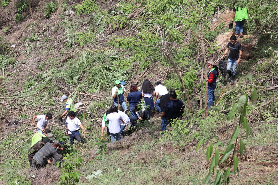 El objetivo de la reforestaci&oacute;n es mitigar el impacto ambiental por la construcci&oacute;n del Aerometro.&nbsp;(Foto: Cortes&iacute;a Municipalidad de Guatemala)