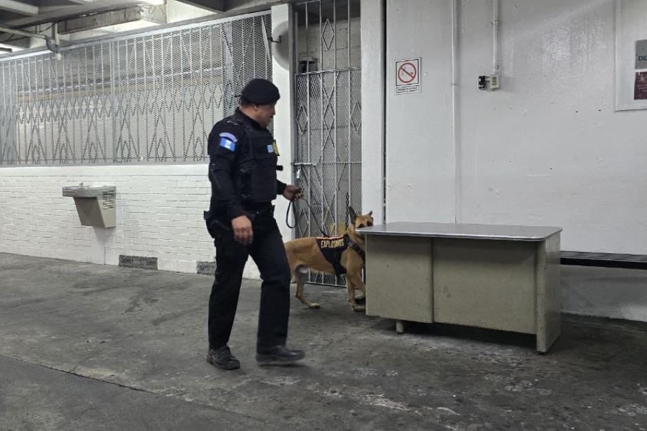 Agentes de la PNC con unidades K9 inspeccionan el &aacute;rea de carceletas en la Torre de Tribunales. (Foto: Cortes&iacute;a)