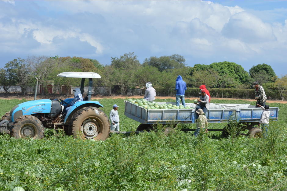 Si quieres emprender, es imperativo que cuentes con el equipo necesario.&nbsp;&nbsp;(Foto: Juan Carlos Aquino/Colaborador)