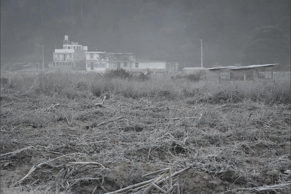 El pa&iacute;s registr&oacute; bajas temperaturas este lunes. (Foto: Erick Colop)