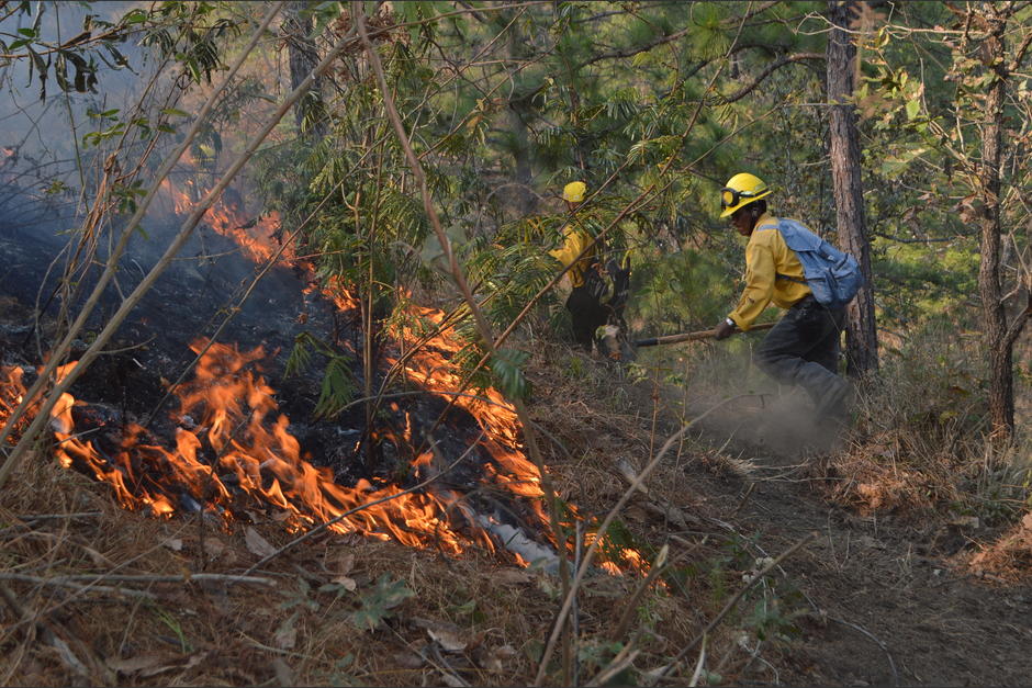 Cuadrillas de Bomberos Forestales&nbsp;trabajan todos los a&ntilde;os para apagar los incendios que se generan. (Foto: Juan Carlos Aquino/Colaborador)