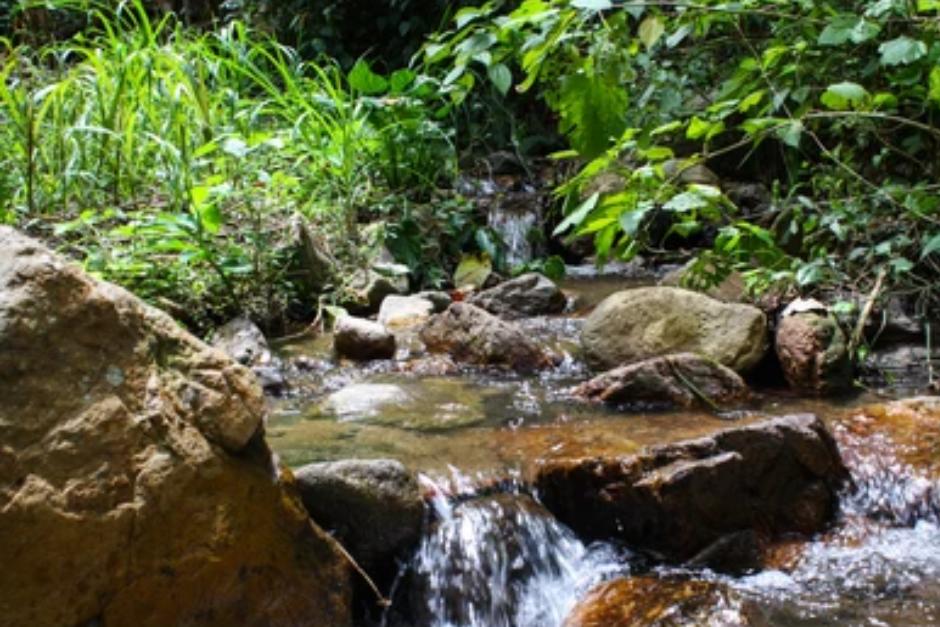 Los cuerpos estaban en un riachuelo que pasa por una plantaci&oacute;n de palma africana. (Foto Ilustrativa: Shutterstock)