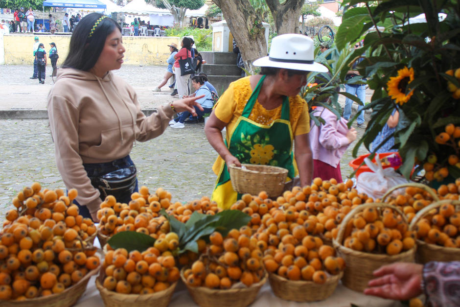 San Juan del Obispo es caracterizado por el fruto del n&iacute;spero. (Foto: Carlos Vicente/Colaborador)