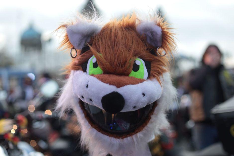 Los detalles de los motociclistas brillan en una nueva edici&oacute;n de este Patrimonio Cultural Intangible de la Naci&oacute;n.&nbsp;(Foto: &Oacute;scar Rivas/SOY502)