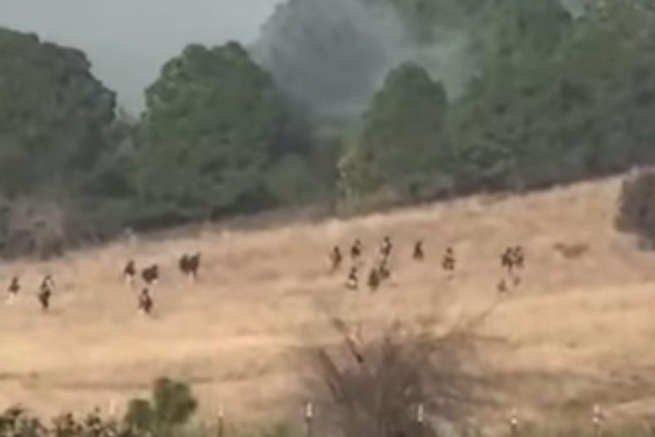 Imagenes muestran el operativo que logro la muerte de uno de los capos m&aacute;s buscados. (Foto: captura de video)