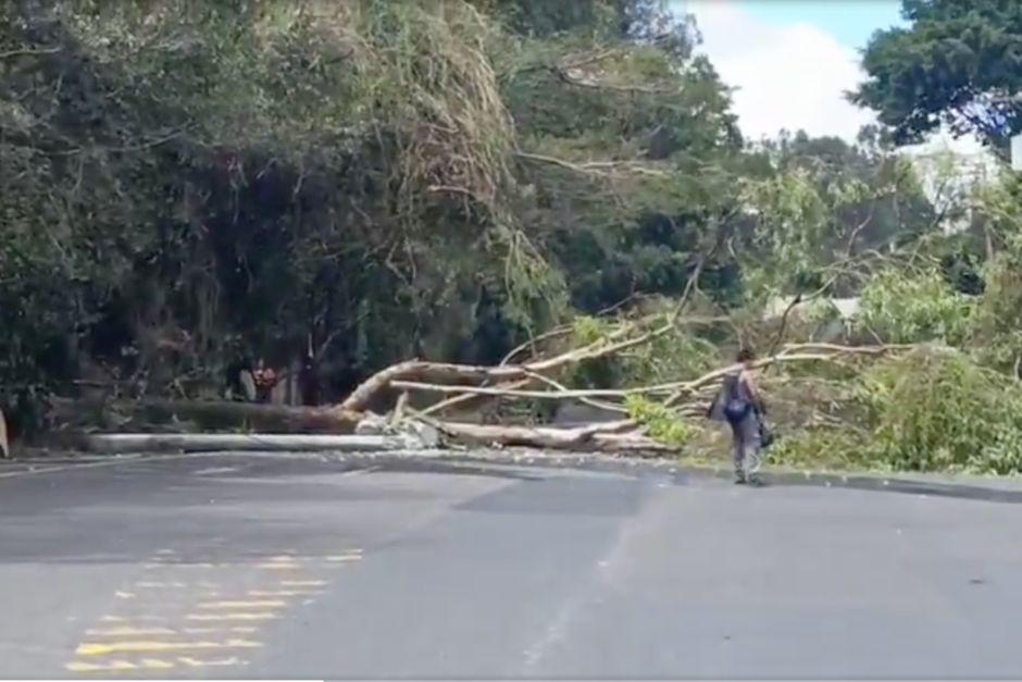 La rama provoc&oacute; una explosi&oacute;n en el tendido el&eacute;ctrico y tras caer ha obstaculizado el paso vehicular. (Foto: PMT de Villa Nueva)