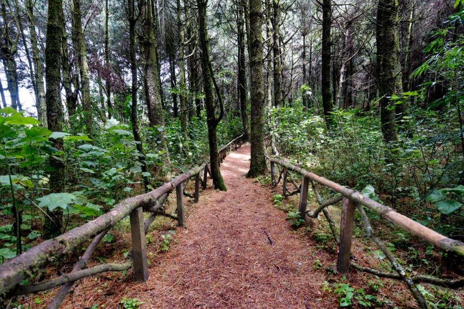 Sendero El Aprisco: El para&iacute;so ecol&oacute;gico de Totonicap&aacute;n