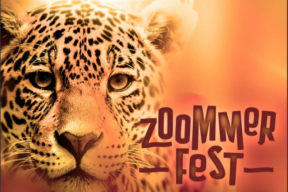 Esta Noche de Luna ser&aacute; diferente. (Foto: Zool&oacute;gico La Aurora)