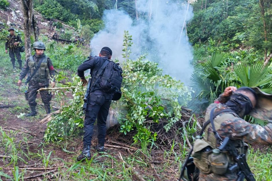 Trabajo en conjunto permiti&oacute; la erradicaci&oacute;n de esta plantaci&oacute;n. (Foto: PNC)