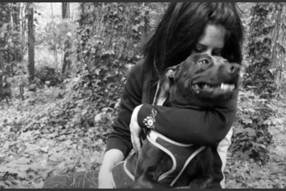Adiestr&oacute; a su pitbull para atacar y el perro mat&oacute; a su novia