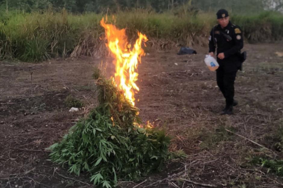 El hallazgo se localizaba en un &aacute;rea monta&ntilde;osa en Pet&eacute;n. (Foto: PNC)
