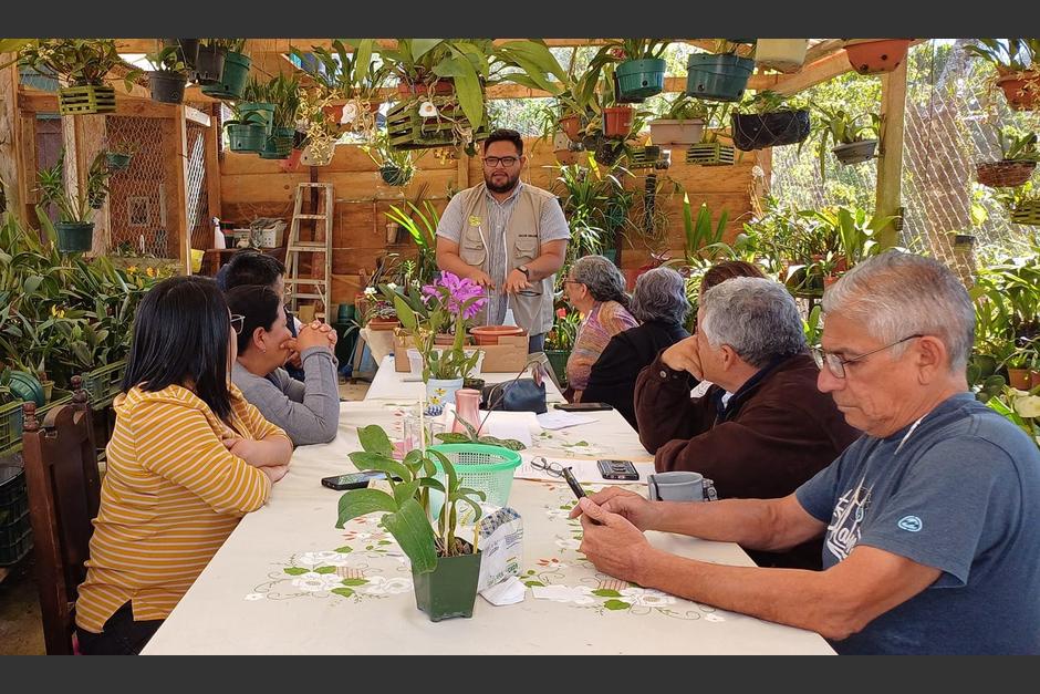 Emprendedores de la regi&oacute;n pueden preinscribirse para participar en el festival. (Foto: Asociaci&oacute;n Bajaverapacense de Orquideolog&iacute;a)