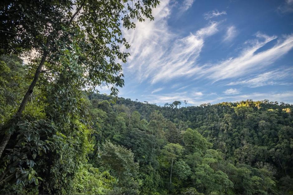 Los gobiernos de Belice, M&eacute;xico y Guatemala buscan proteger la selva maya. (Foto: Conap / Soy502)