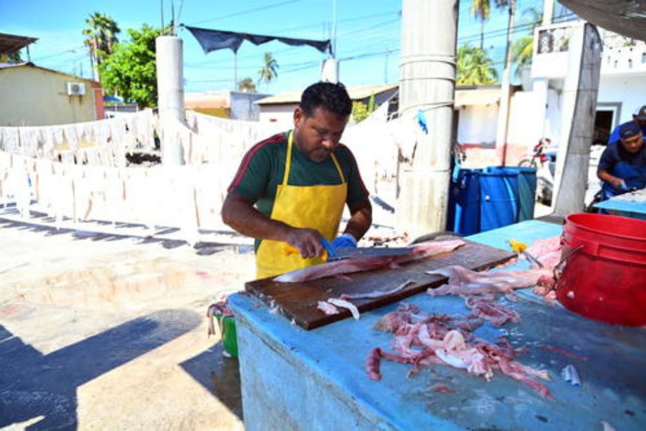 Durante la Semana Santa aumenta el consumo de mariscos. (Foto: Soy502/archivo)