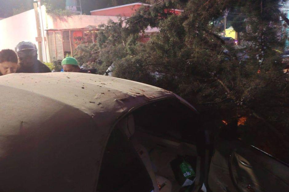 El transporte qued&oacute; empotrado entre las ramas del &aacute;rbol. (Foto:&nbsp;Bomberos Municipales Departamentales de Santa Luc&iacute;a Milpas Altas)