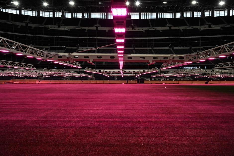Las luces p&uacute;rpuras estimulan el crecimiento de la gramilla.