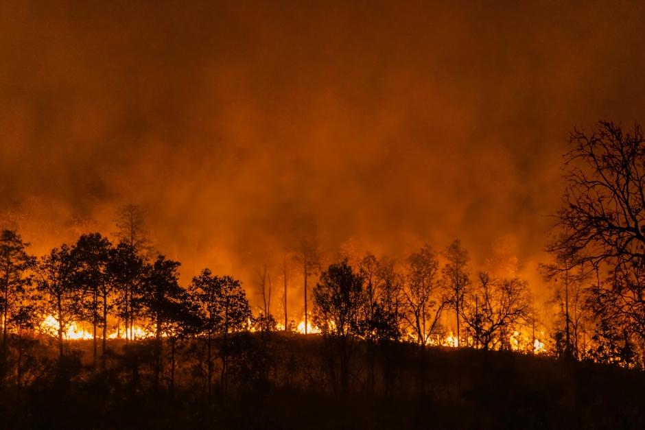 M&aacute;s de 150 millones de hect&aacute;reas se han quemado en el mundo en lo que va del a&ntilde;o. (Foto ilustrativa: Shutterstock)