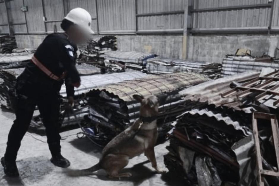 La droga habr&iacute;a sido enviada desde Costa Rica. (Foto: PNC)